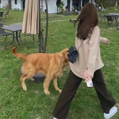 双重人格