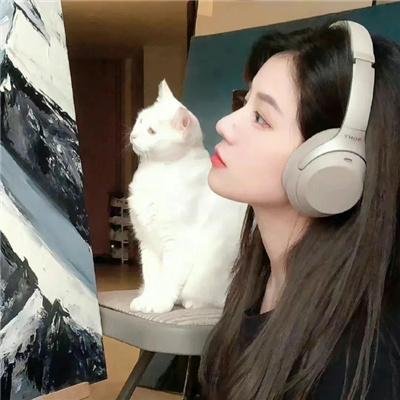 自家战争